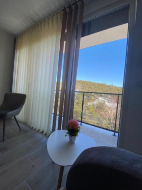 Goga Apartmani